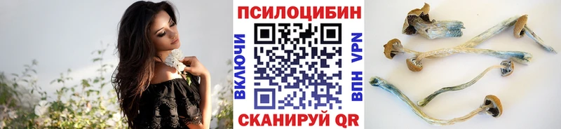 Купить закладки  Нефтегорск  Галлюциногенные грибы прущие грибы 